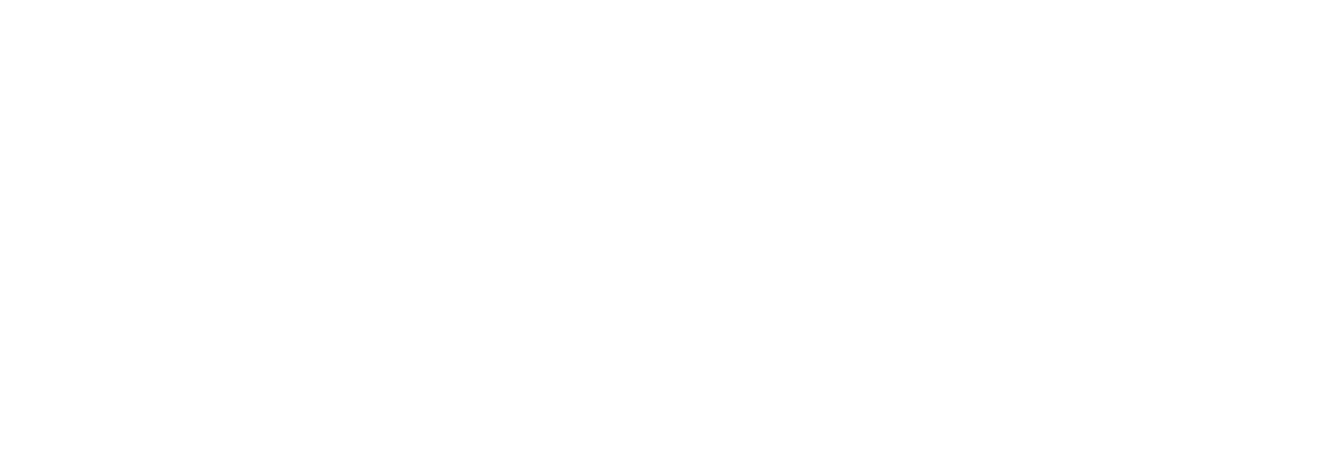UA Wordmark logo